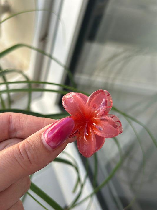 Petite pince