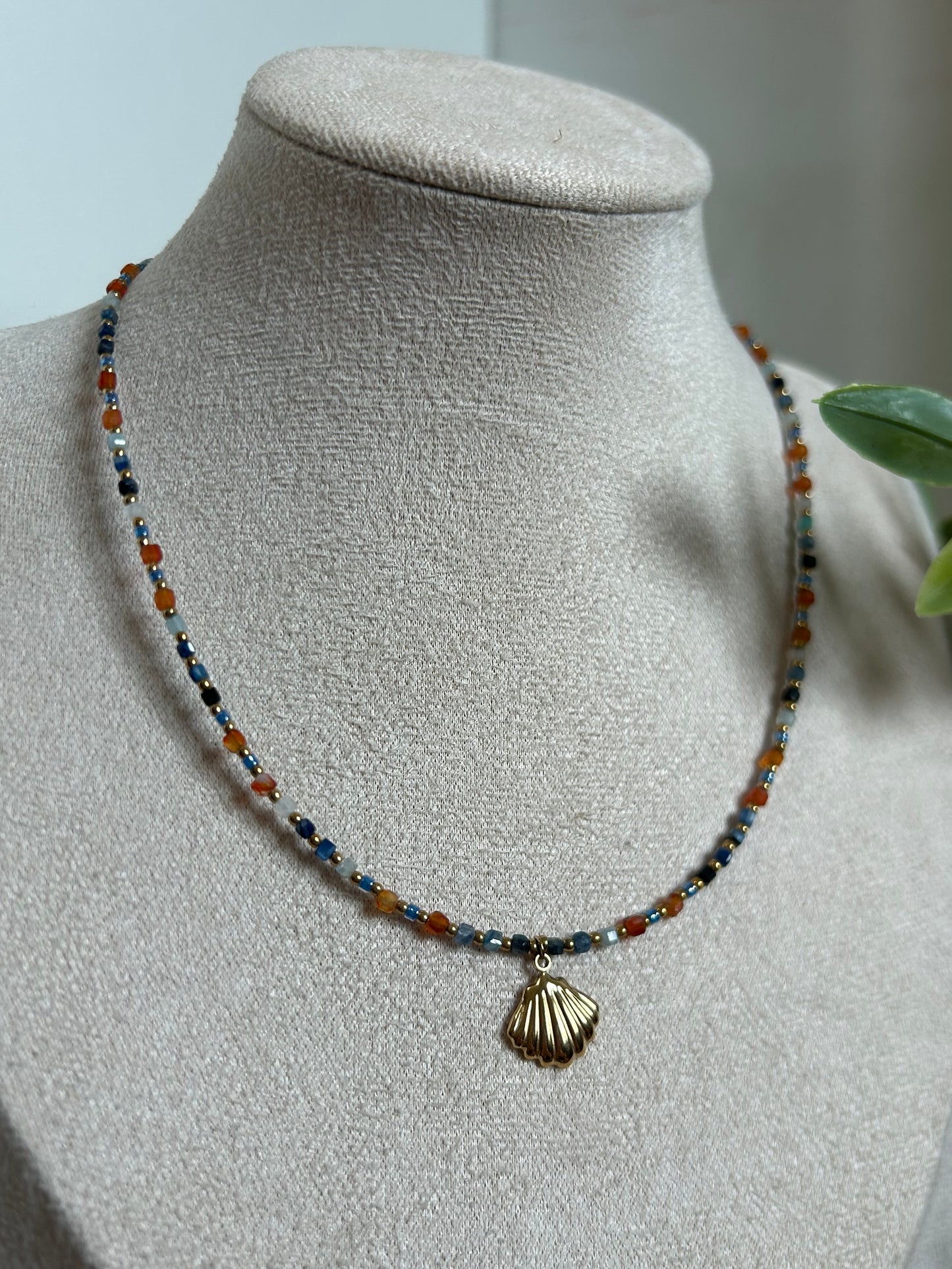 Collier Coquillage