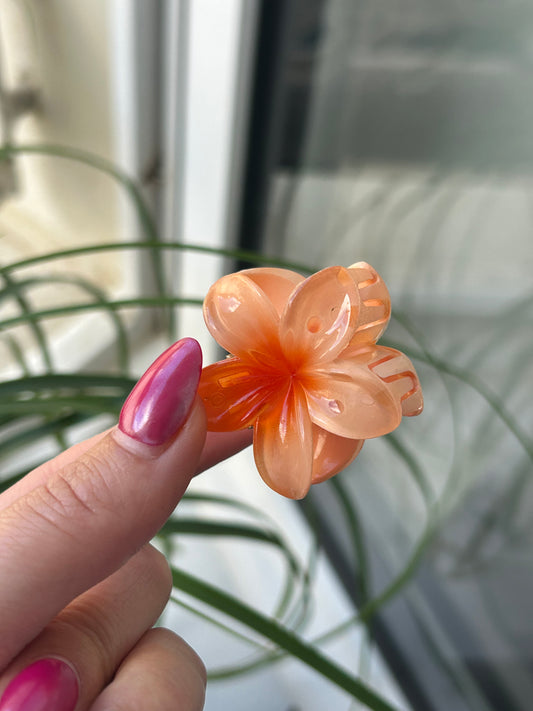 Petite pince